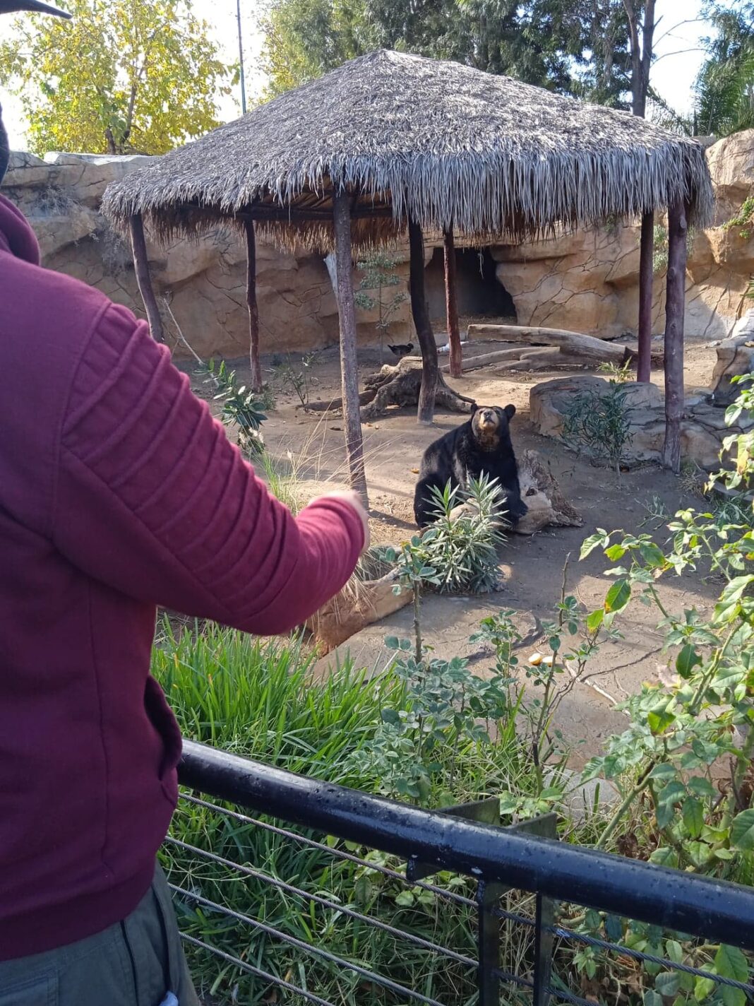 EL ZOOLÓGICO DEL PARQUE MORELOS, REQUIERE DE APOYO DE LA COMUNIDAD BC