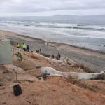 TERRENO ABANDONADO 3