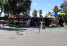 Calor extremo provoca rescate de aves deshidratadas en Mexicali,Baja California.