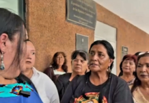 Piden a la presidenta Claudia Sheinbaum,defender territorio Kumiai y Cuchuma de las obras del muro fronterizo